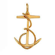 Anchor Fouled (1S) view 1