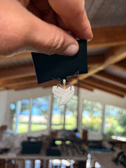 Octopus Shark Tooth Pendant 14K view 2