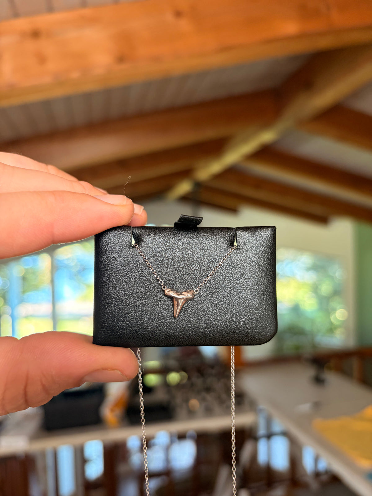 Shark Tooth Necklace W/ Chain (Sandbar Shark), 