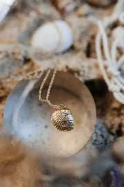 Sea Shell Pendant 14k view 1