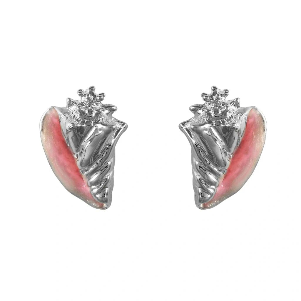 Conch Stud Earrings 5/8" SS, 