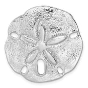 Large Fossilized Sand Dollar view 1