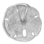 Large Fossilized Sand Dollar view 2