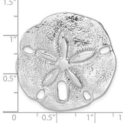Large Fossilized Sand Dollar view 3